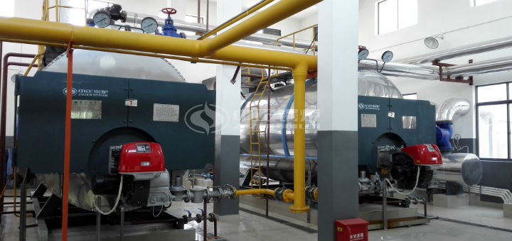 孫橋現代農業園區2.8MW燃氣熱水鍋爐項目