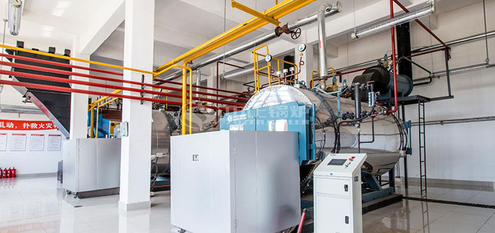 維達(dá)紙業(yè)15噸冷凝式燃?xì)庹羝仩t項(xiàng)目